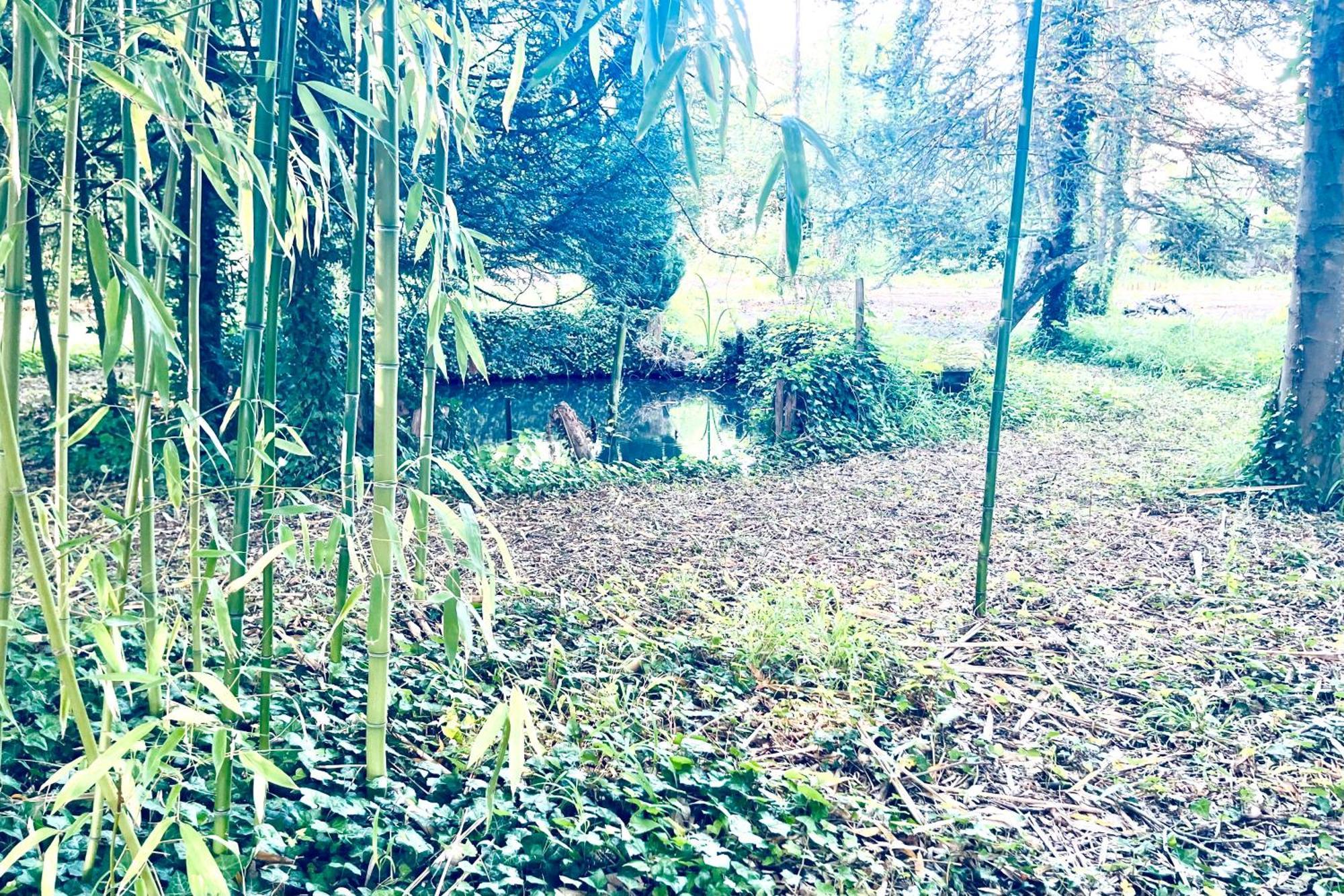 Villa Edouard - 180M2 In Nature & Forest - 20Min Disney - 7Min Airport كلاي سويي المظهر الخارجي الصورة