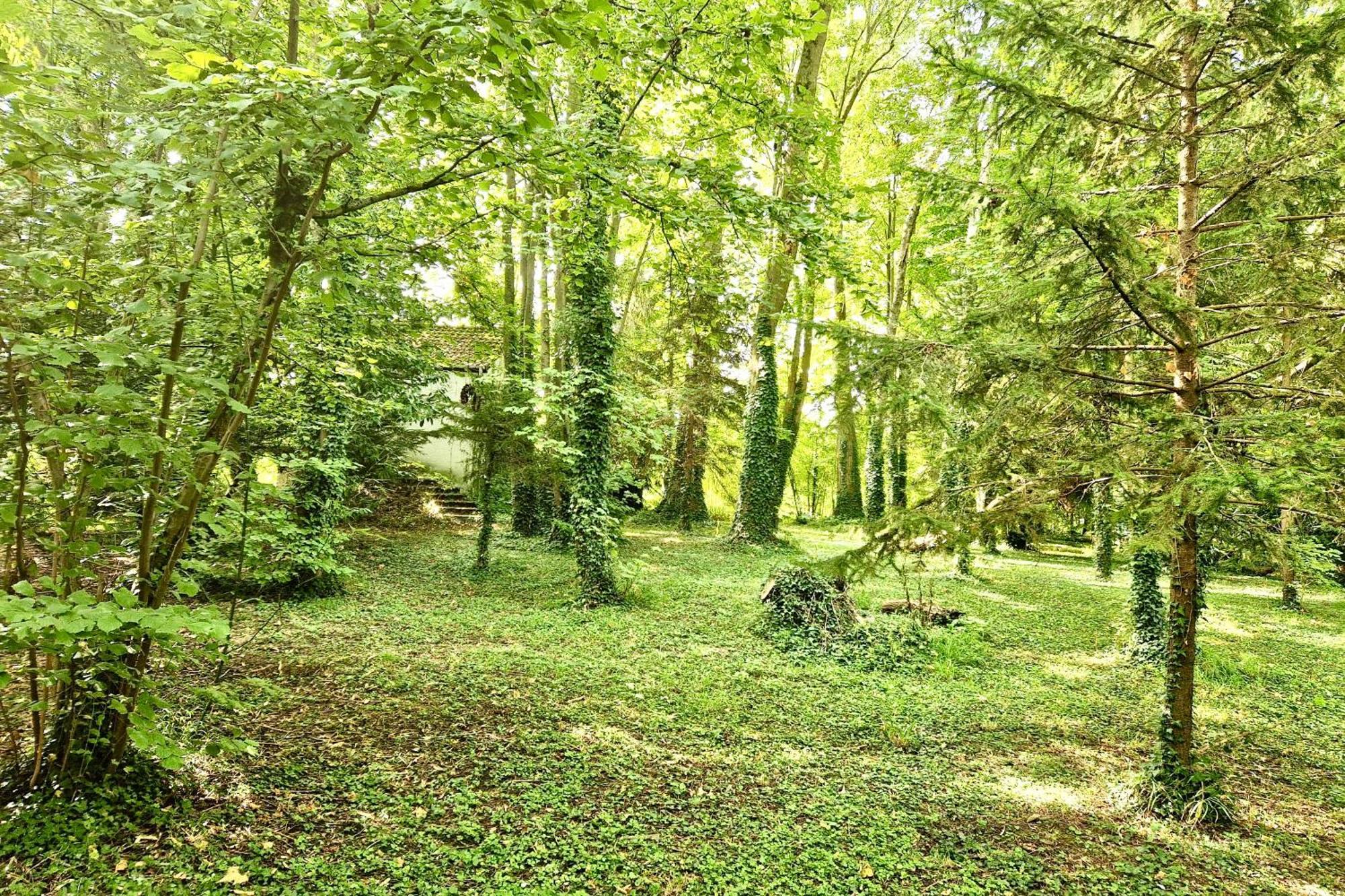 Villa Edouard - 180M2 In Nature & Forest - 20Min Disney - 7Min Airport كلاي سويي المظهر الخارجي الصورة