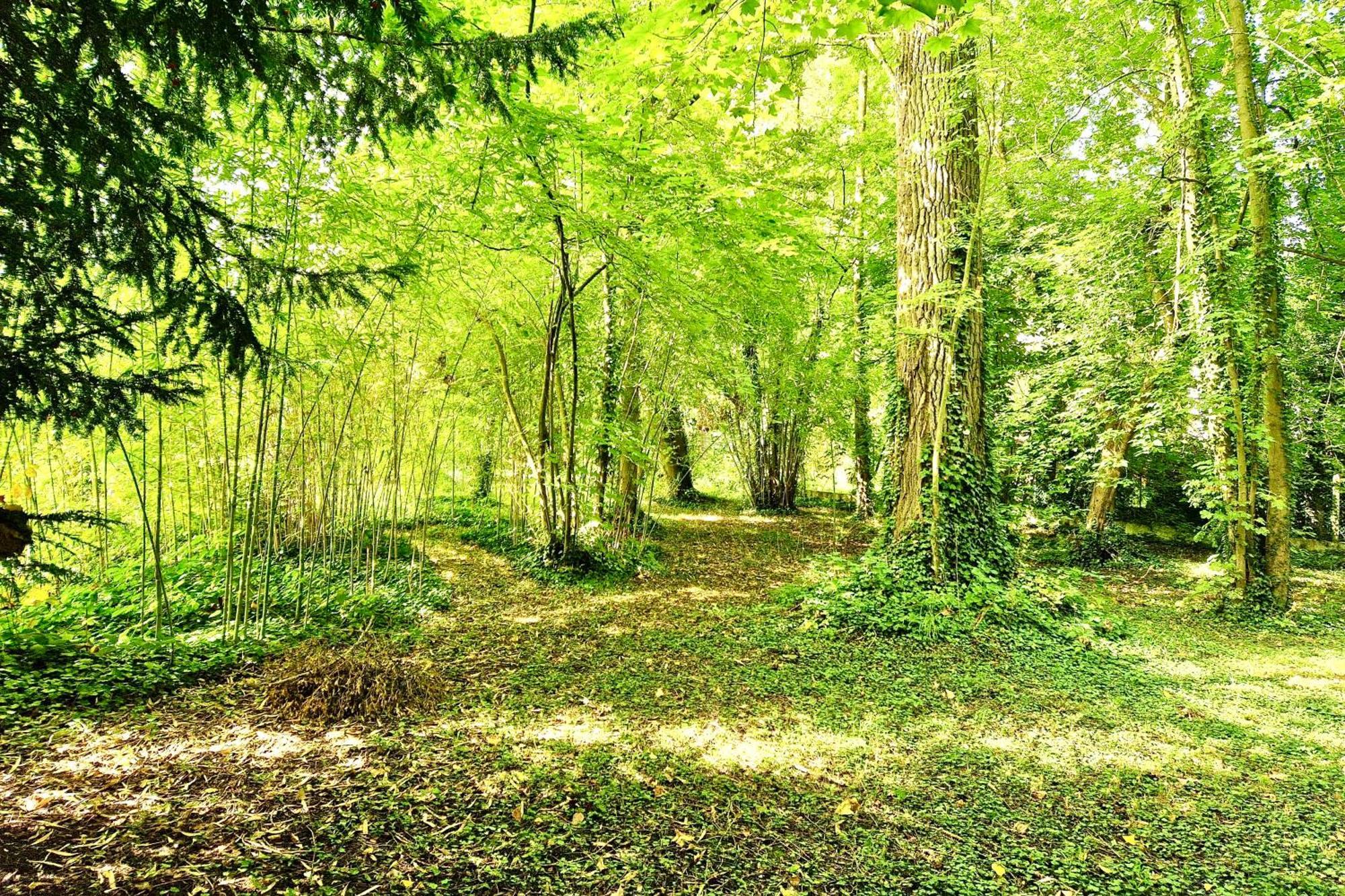 Villa Edouard - 180M2 In Nature & Forest - 20Min Disney - 7Min Airport كلاي سويي المظهر الخارجي الصورة